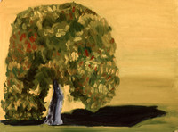 img.357