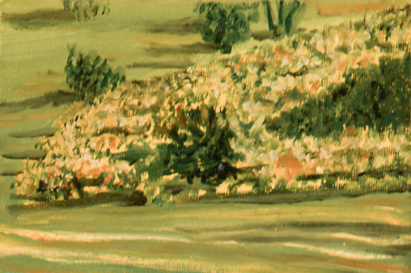 img.371