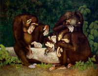 The Grooming, Oil on Canvas, 65.5x84"