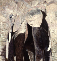 Ivory 2, F.Veteran, Oil on Canvas 28x24"