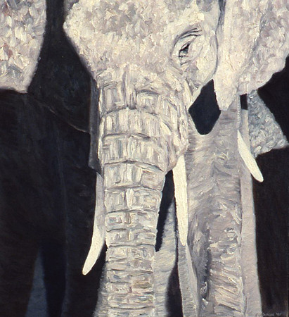 Ivory 4, F.Veteran, Oil on Linen, 26x22"