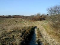 P1010029-1