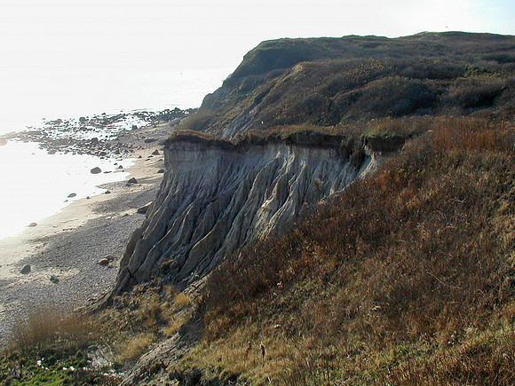 P1010033-1