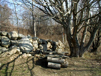 P1010007-1
