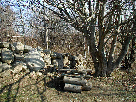 P1010007-1