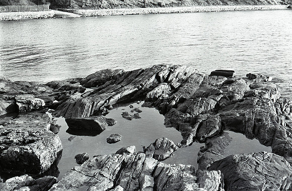 img369