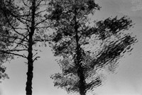 img.399