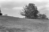 img.390