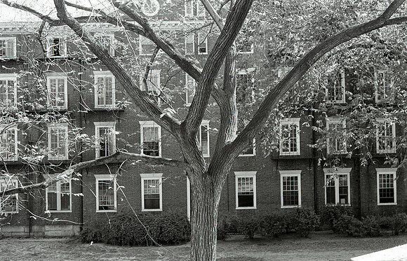 img088