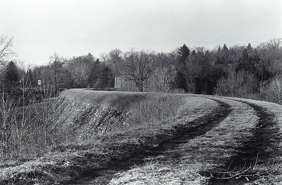 img264