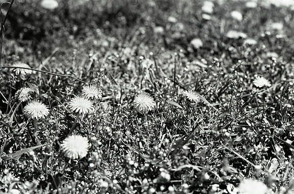img265