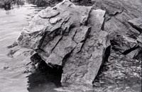 img.411