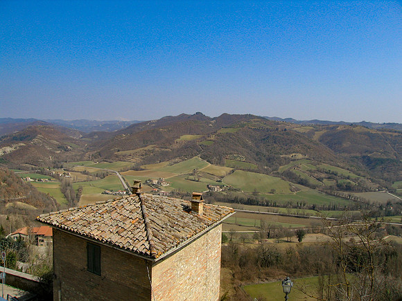 IMG_0645-1