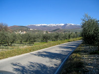 IMG_0433-1