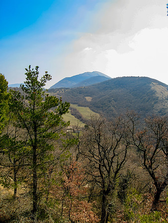 IMG_0610-Edit-1