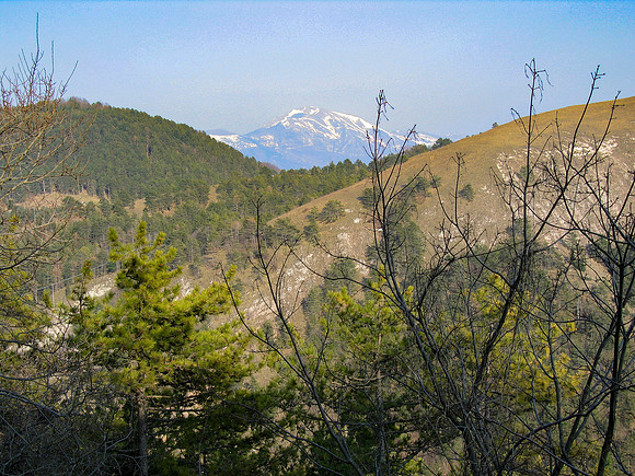 IMG_0676-1
