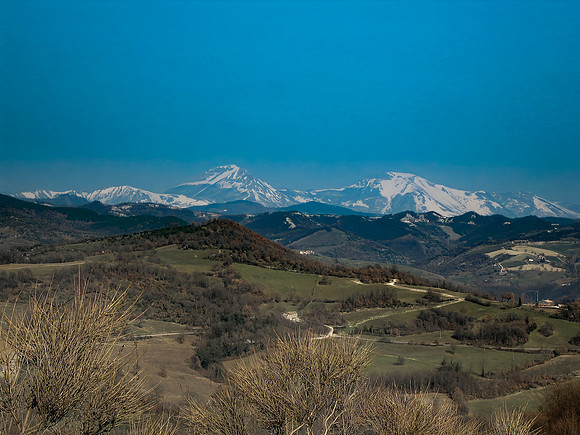 IMG_0670-Edit-1