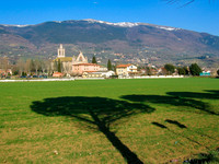 IMG_0443-1