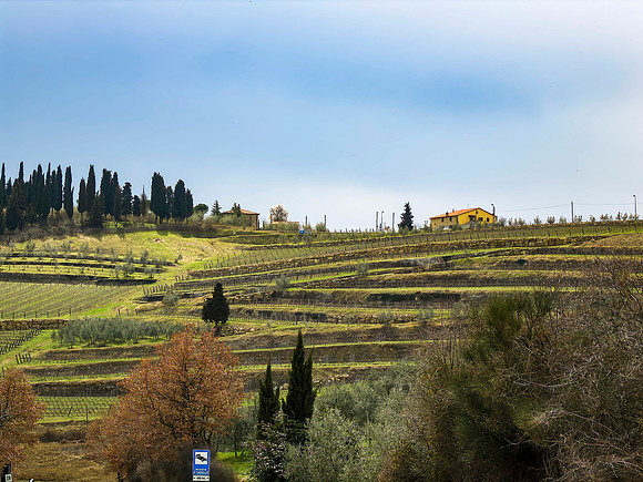 IMG_0780-Edit-Edit-1