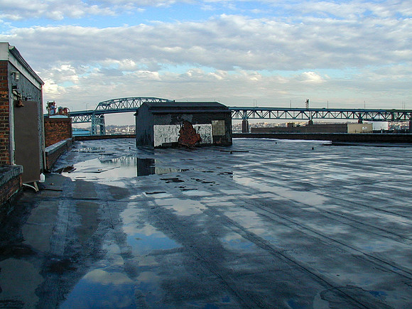 P1010098-1