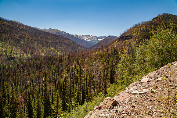 20080731-_MG_3371-1