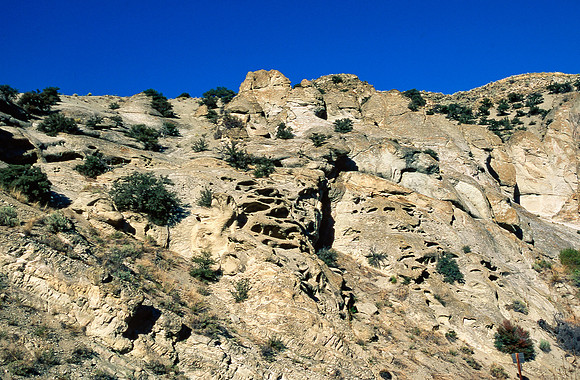 img.315