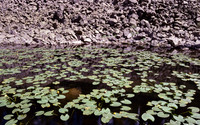 img.196