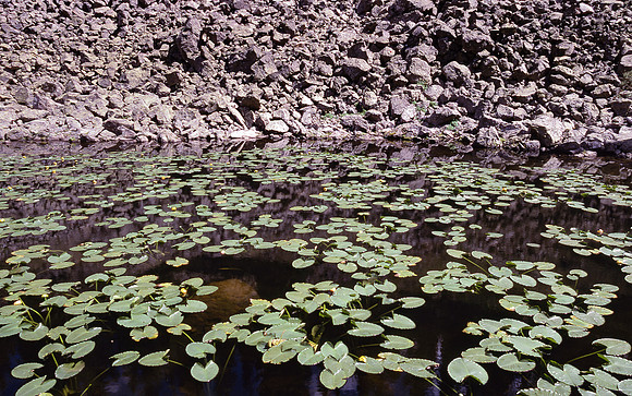 img.196