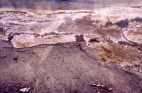 img.198