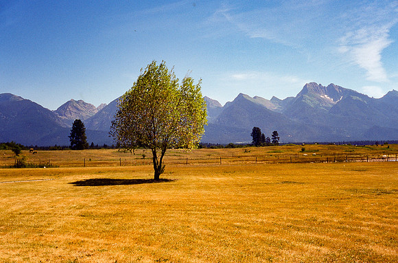 img.261