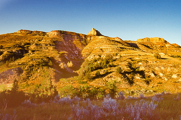 img.244