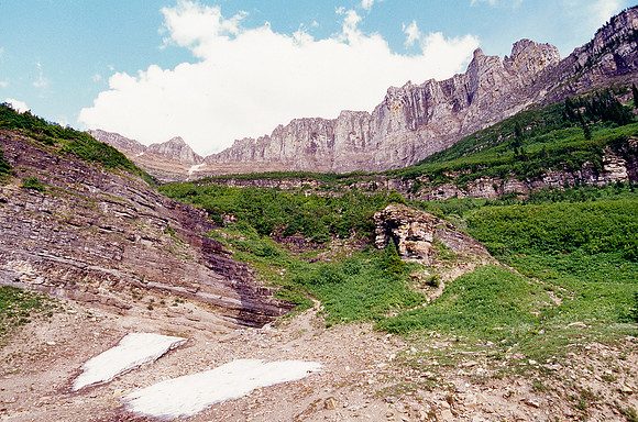 img.239