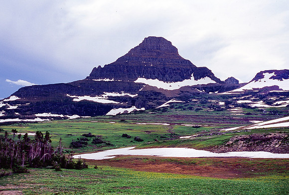 img.219