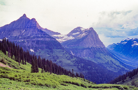 img.230