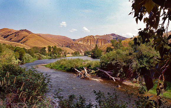 img.232