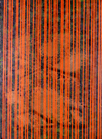 F.Veteran_Oil on Gessoed Paper_30x22.5"