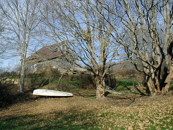 P1010006-1