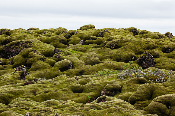 Iceland
