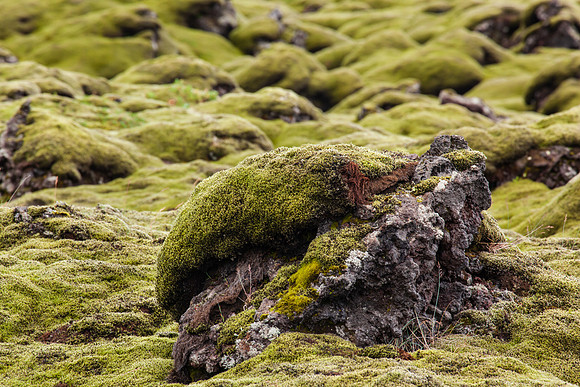 Iceland